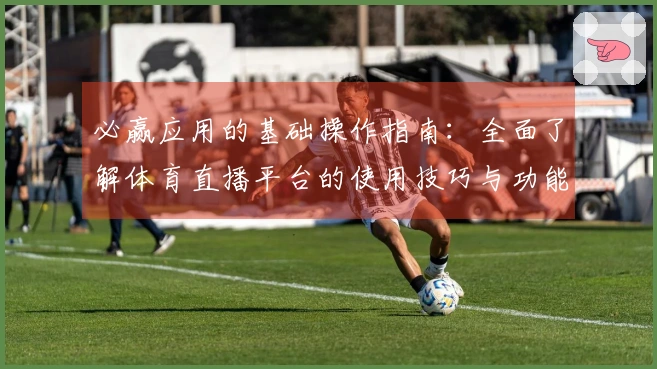 必赢应用的基础操作指南：全面了解体育直播平台的使用技巧与功能介绍