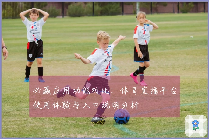 必赢应用功能对比：体育直播平台使用体验与入口说明分析