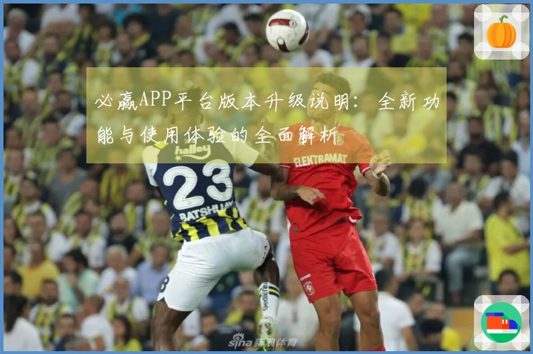 必赢APP平台版本升级说明：全新功能与使用体验的全面解析